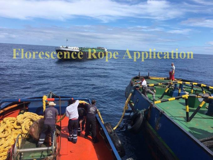 컬러 높은 강도 엮은 합성 12 스트랜드 UHMWPE 선박 로프 7