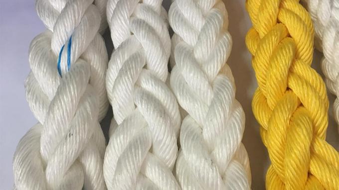 어린이용 다채로운 플라스틱 등반 손잡이 놀이터 등반 벽 7