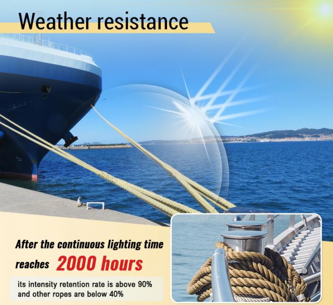 고강도 10mm 12mm 12 스트랜드 Uhmwpe 섬유 윈치 트레이드 라인 해상 선선 로프 요트 1