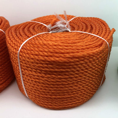 Twisted 3 Strands Polypropylene pp Danline Rope 10mm Packaging Rope for Fishing